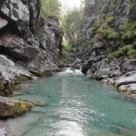 Gaestehaus Alpenblick Maison d'hôtes Berwang