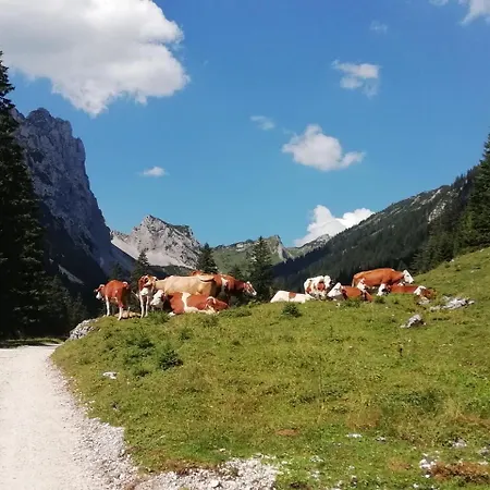 Gaestehaus Alpenblick Guest house Berwang