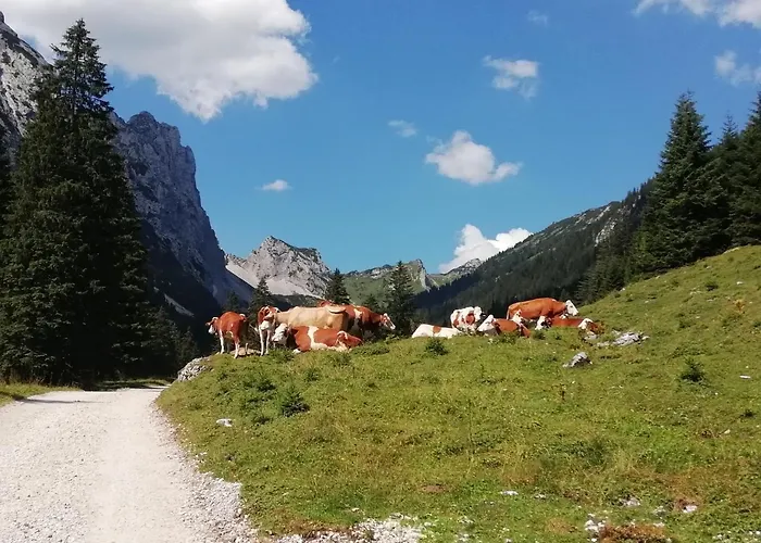 Gaestehaus Alpenblick Vendégház Berwang
